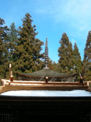 TNデザイン一級建築設計事務所